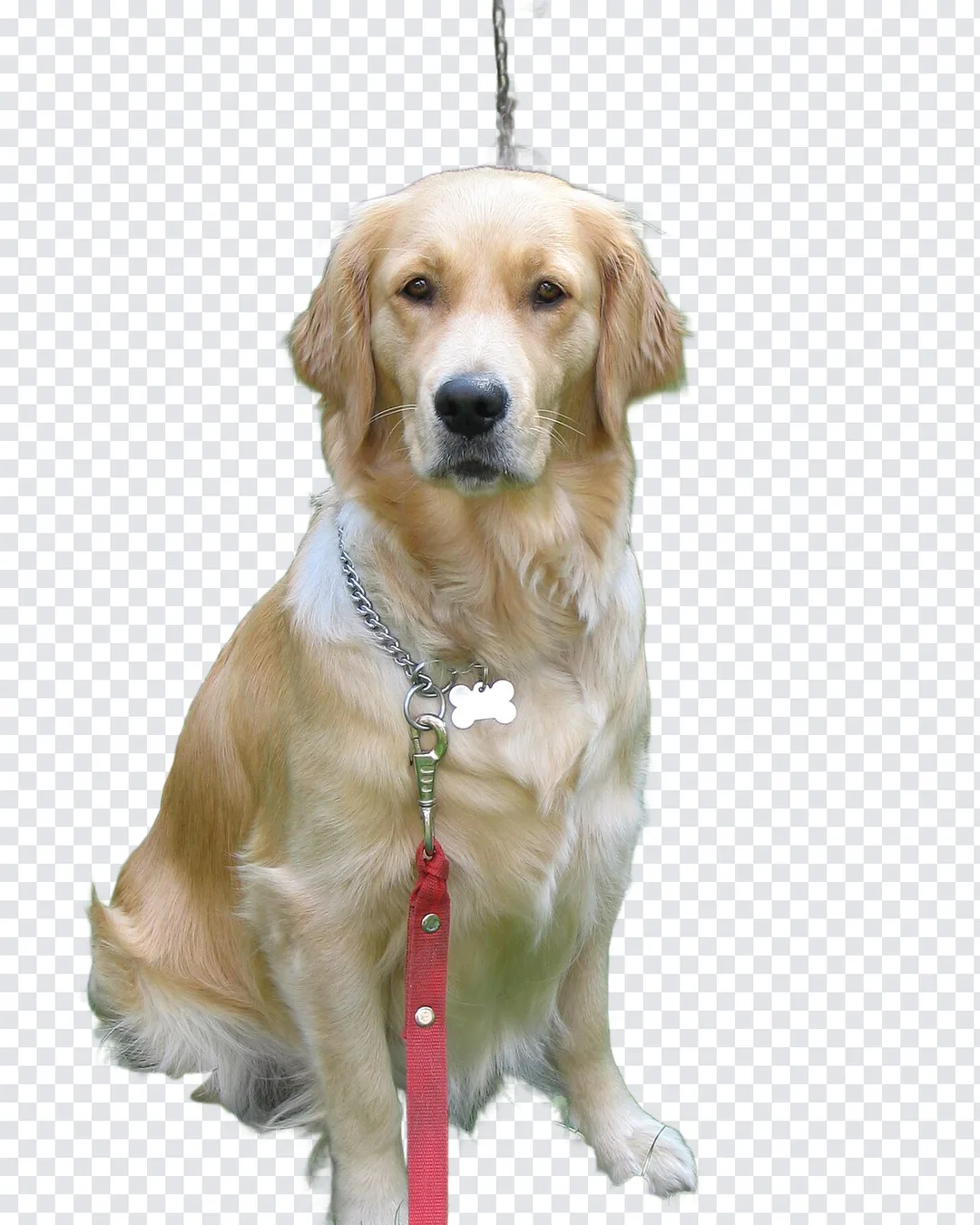 PicEnhancer screenshot 5